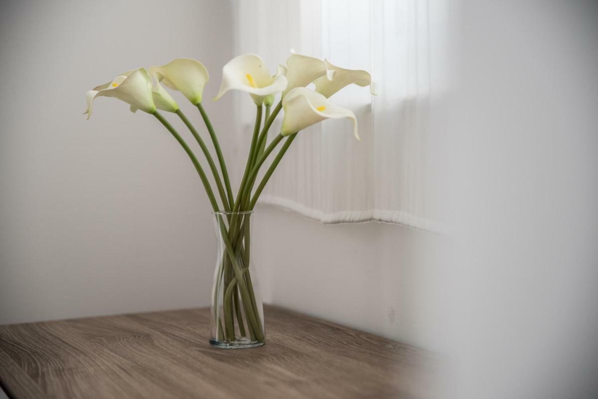 Terrazzo Siciliano Apartment Riposto Bagian luar foto
